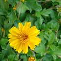 Picasa 2.7